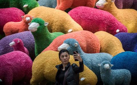 Trung Quốc gọi “Năm Mùi” là Năm Dê hay Năm Cừu?